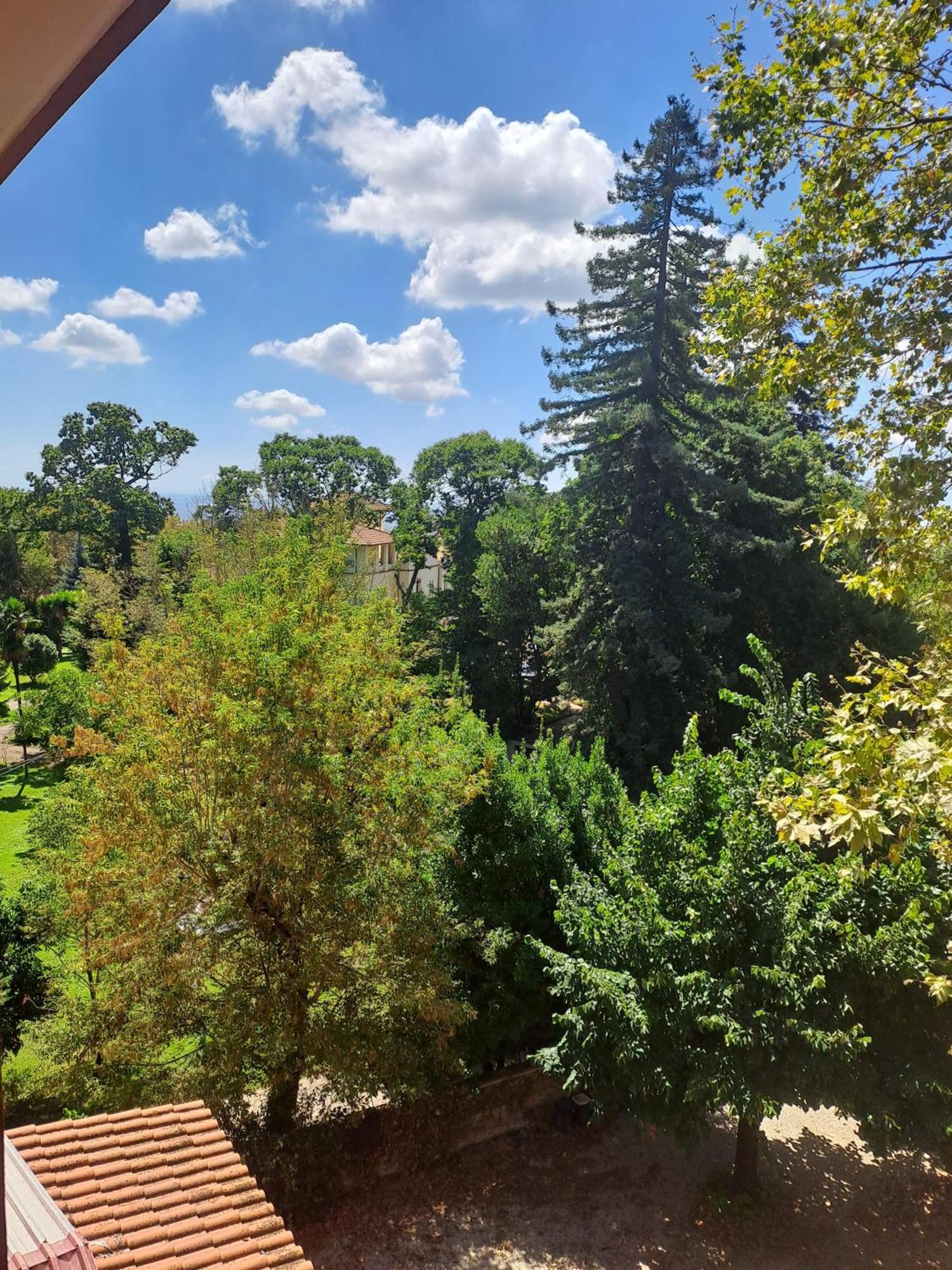 Hotel Villa Robinia Genzano di Roma Bagian luar foto